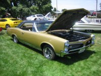 IMG_1611.jpg