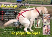 pootrap.jpg