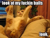 LookitBalls.jpg