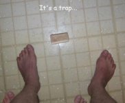 a-trap.jpg