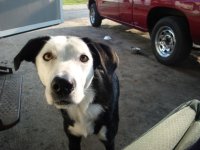 buttonwillow 006.jpg