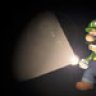 Luigi